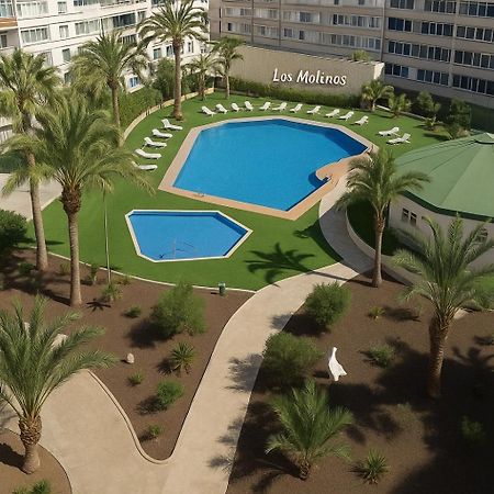 Residence Los Molinos Maspalomas  Zewnętrze zdjęcie